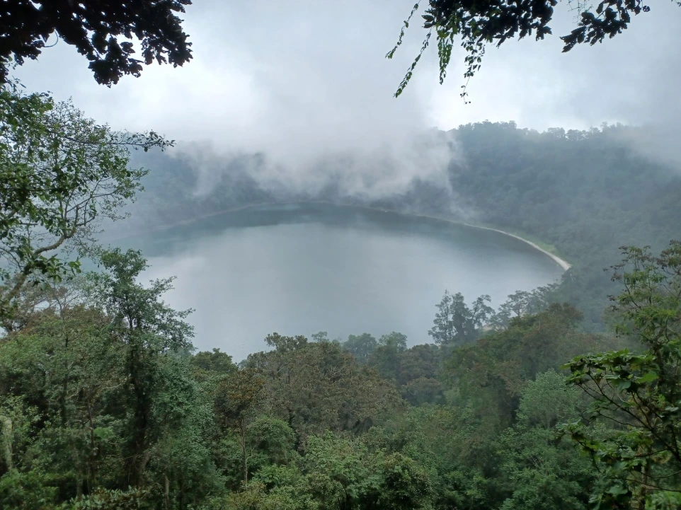 informes corrupción Guatemala explicados